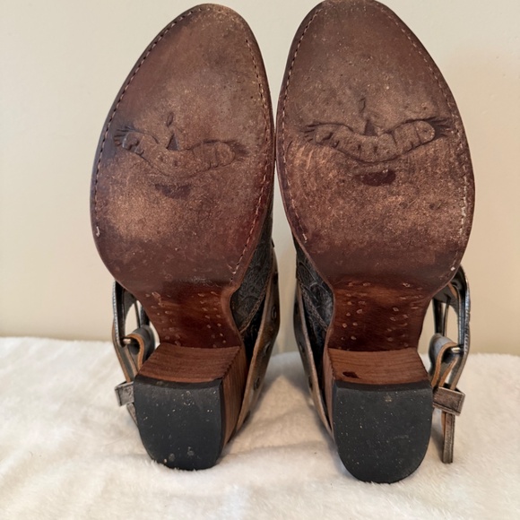 Freebird - Picture 5 of 7